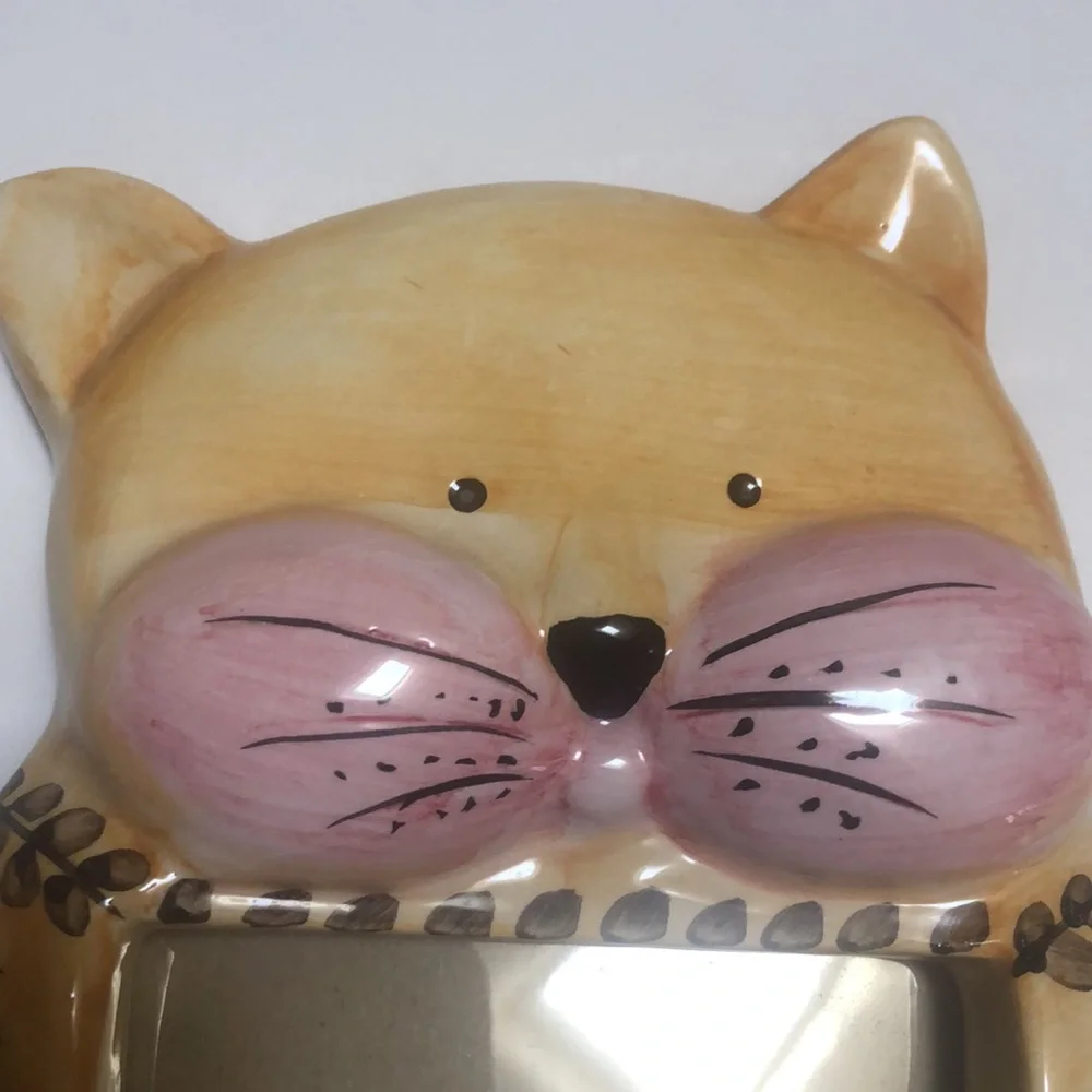 N/A kitty cat